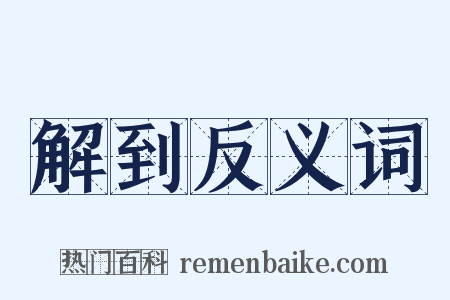 解到反义词是什么意思的图片